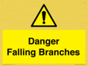 danger-falling-branches~